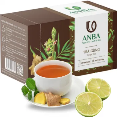 ANBA Ginger Tea 40x50g VN