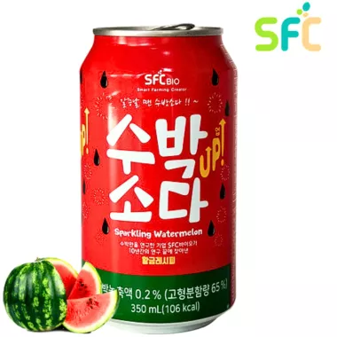 SFC BIO Watermelon Soda 24x350ml KR