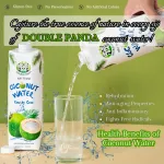 DOUBLE PANDA Coconut Water 12x1l VN