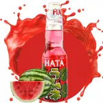 HATA KOSEN Watermelon Ramune 30x200ml JP