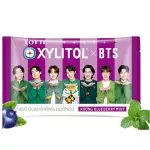 LOTTE BTS No Sugar Blueberry-Mint Chewing Gum 15x20x11.6g VN