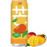 RICO Mango Juice 24x490ml TW