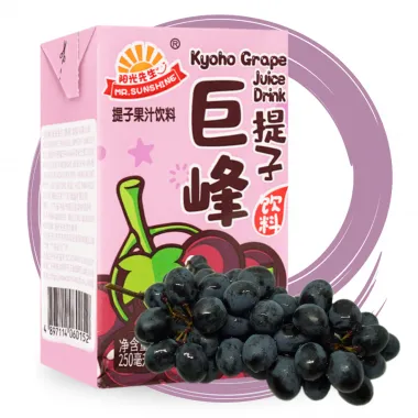 MR SUNSHINE Grape Juice Drink 24x250ml CN